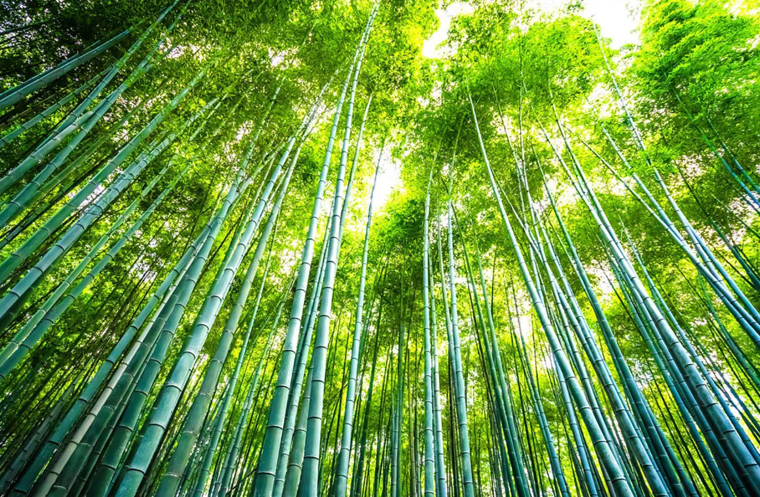 Deep Material Understanding, Rooted in Sustainability